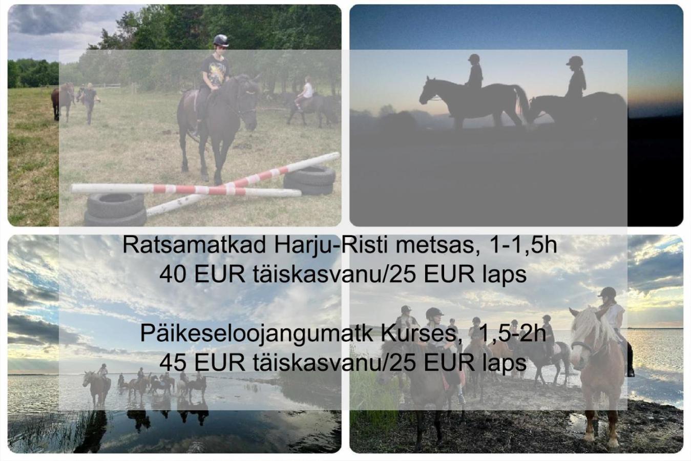 Uneallika Saunaga Puhkemaja Holiday home *